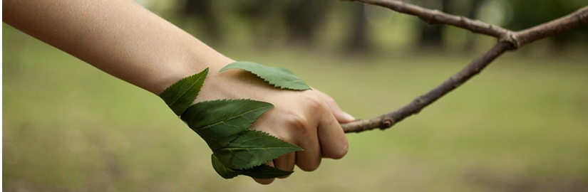 You bring the mission. We’ll bring it to life.