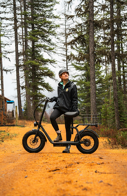 ImageWithFallback (1)